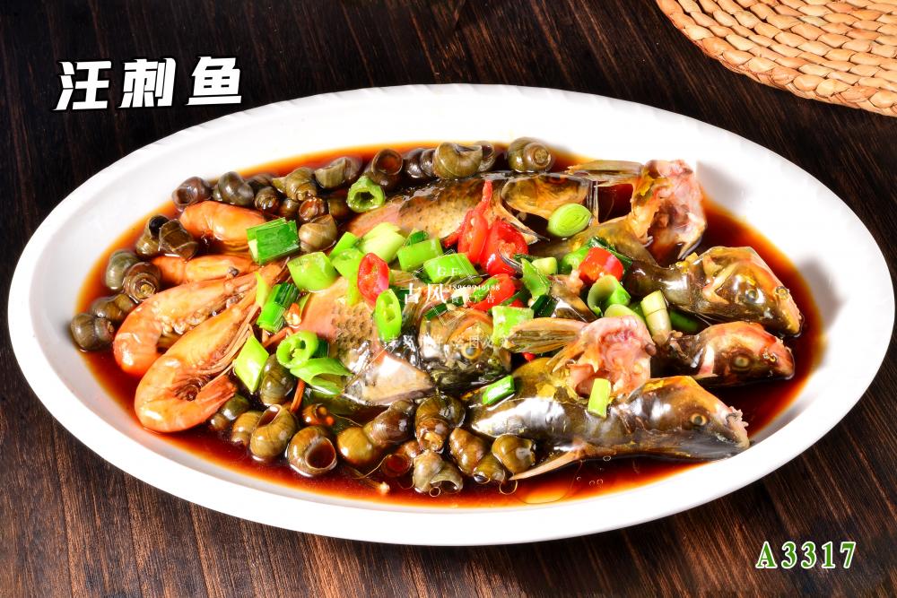 A3317汪刺魚