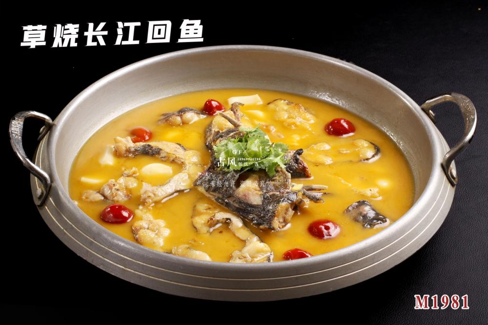 M1981草(cǎo)燒長(cháng)江回魚