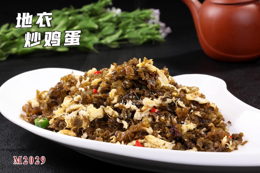 M2029地(dì)衣炒雞蛋