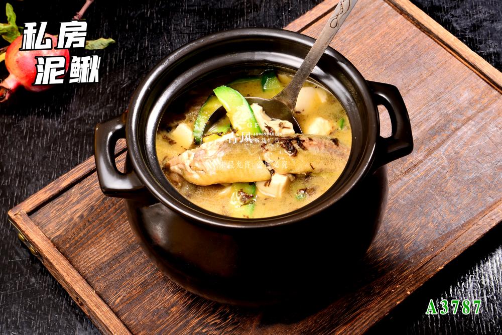 A3787私房(fáng)泥鳅