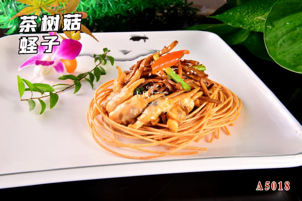 A5018茶樹(shù)菇蛏子(zǐ)