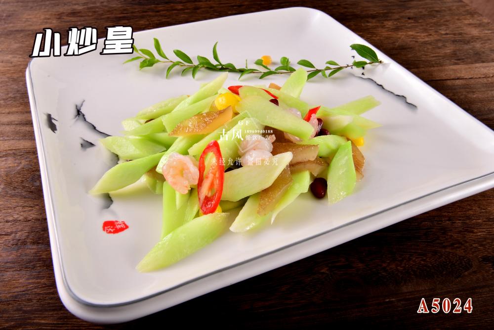 A5024小(xiǎo)炒皇