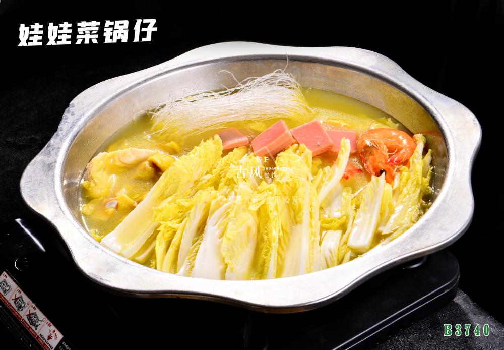 B3740娃娃菜鍋仔