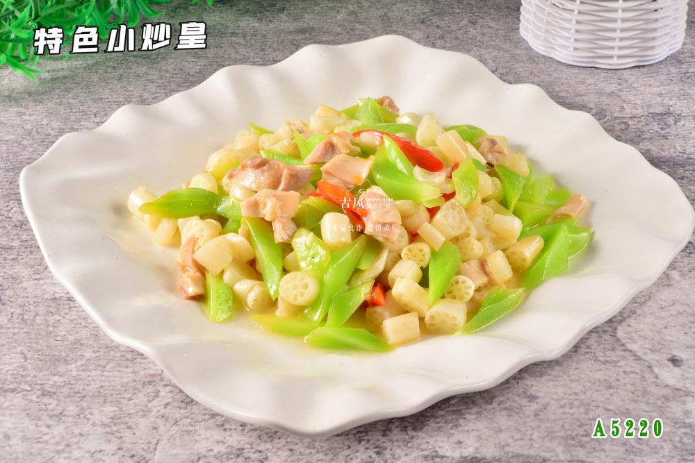 A5220特色小(xiǎo)炒皇