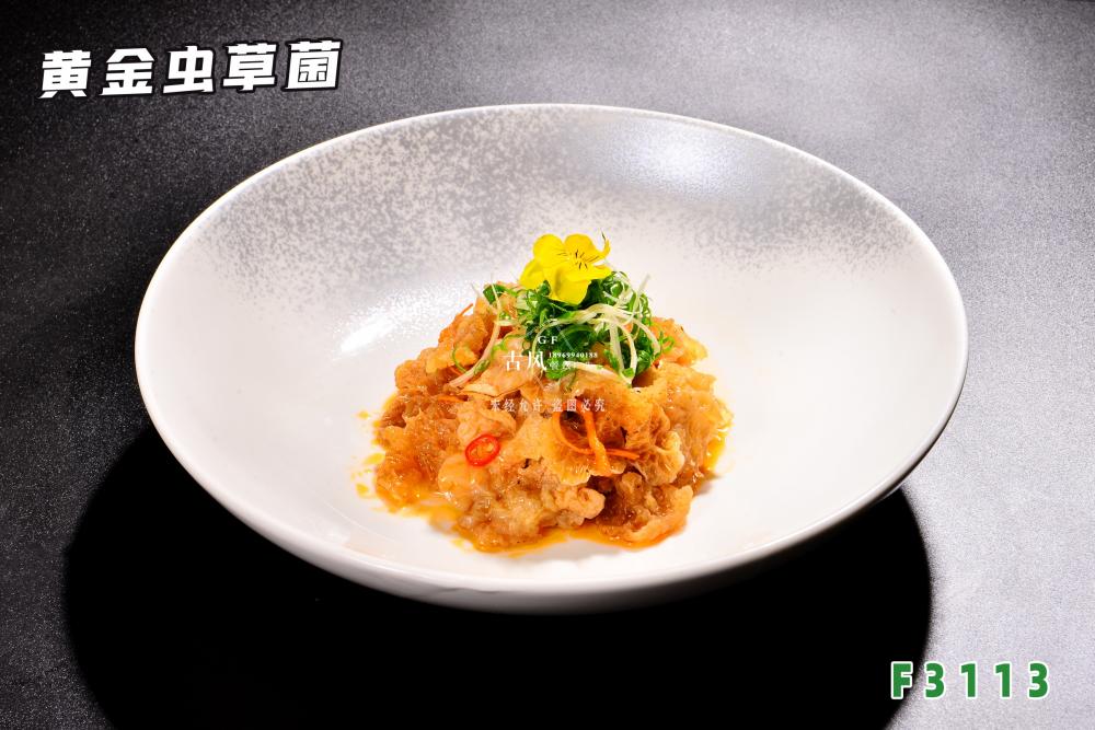 F3113黃(huáng)金(jīn)蟲草(cǎo)菌