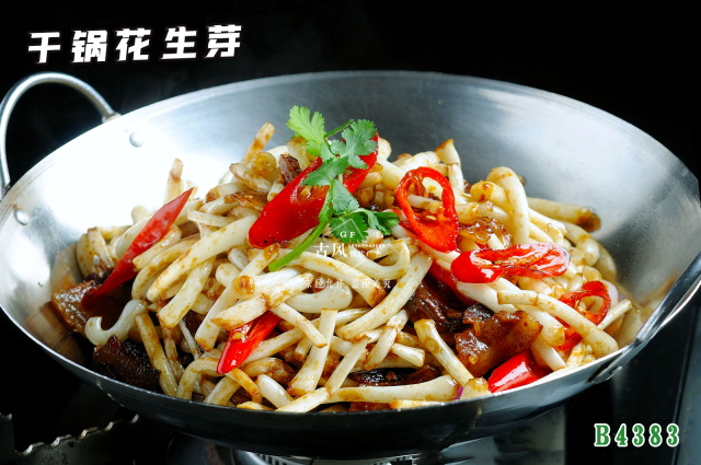 B4383幹鍋花(huā)生(shēng)芽 幹鍋花(huā)生(shēng)苗