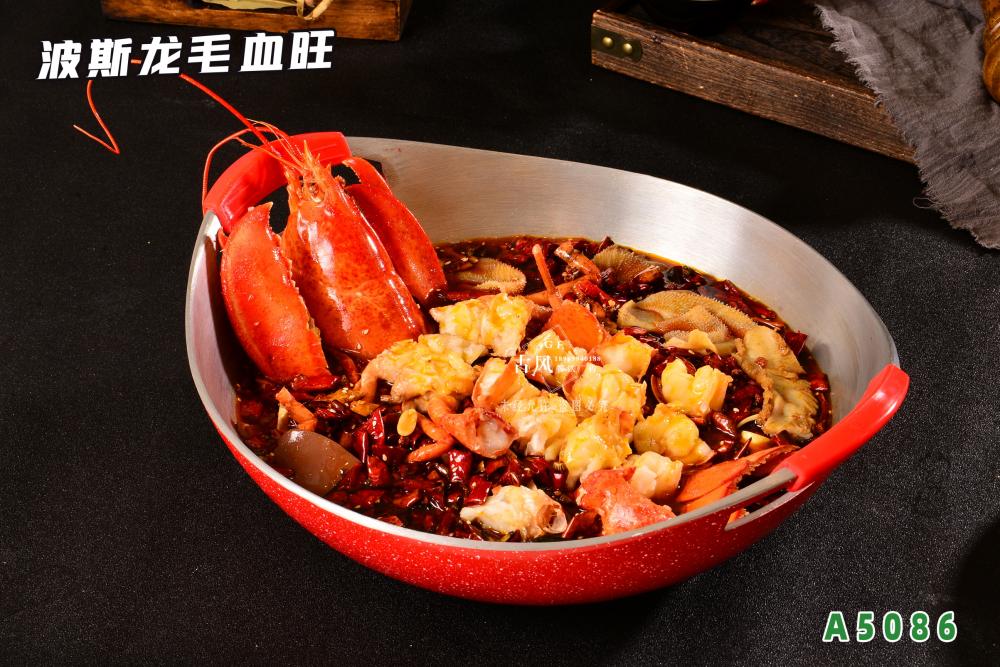 A5086波斯龍毛血旺