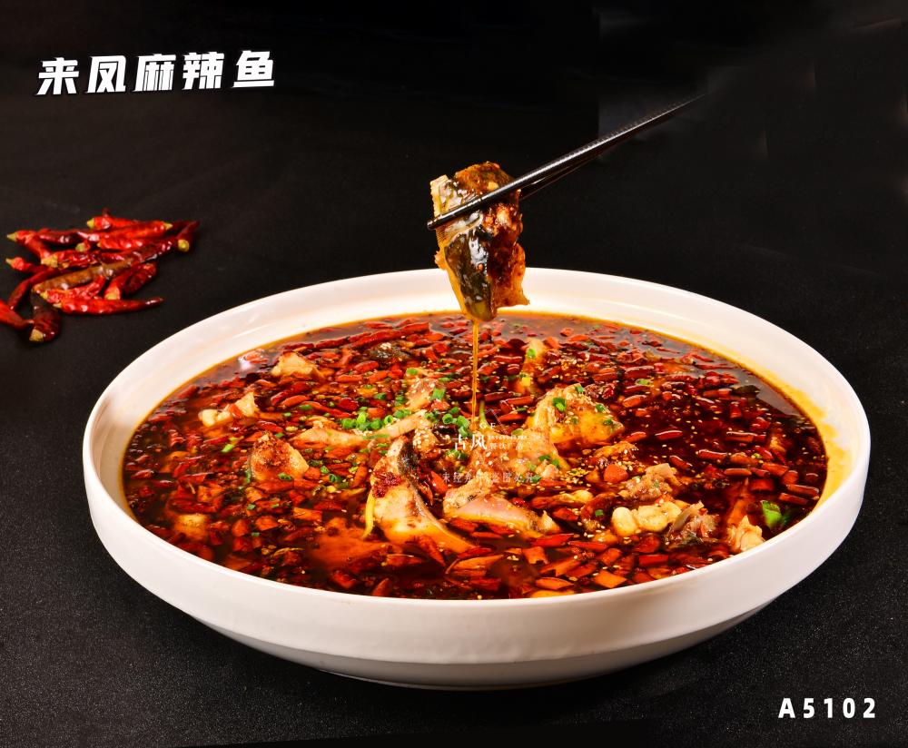 A5102來(lái)鳳麻辣魚