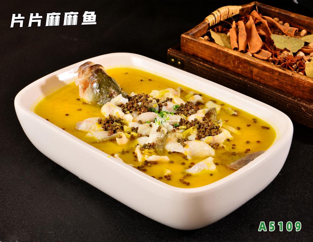A5109片片麻麻魚