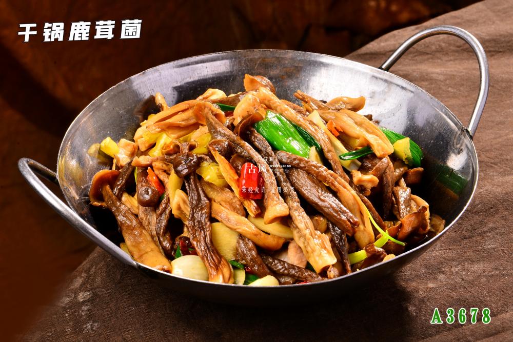 A3678幹鍋鹿茸菌
