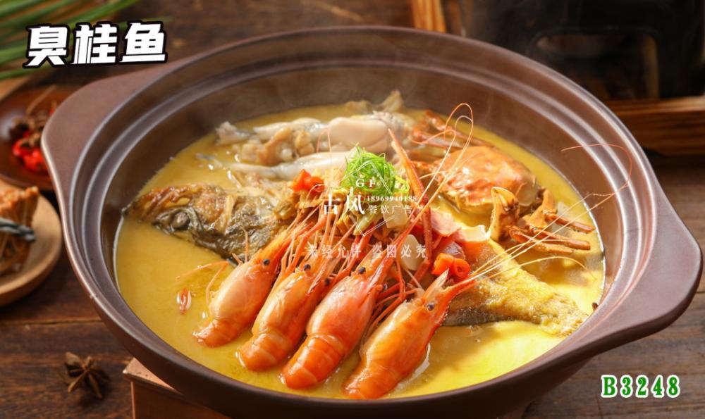 B3248臭桂魚