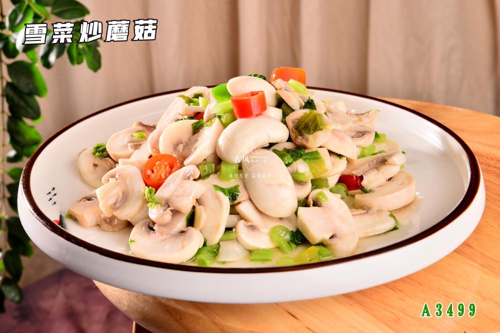 A3499雪(xuě)菜炒蘑菇
