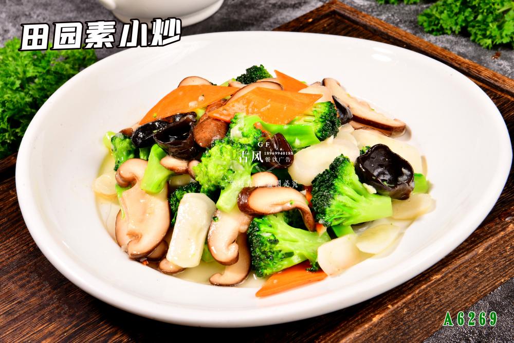 A6269田園素小(xiǎo)炒