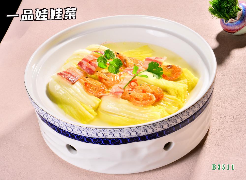 B3511一(yī)品娃娃菜