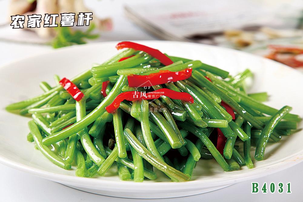 B4031農(nóng)家(jiā)紅(hóng)薯杆