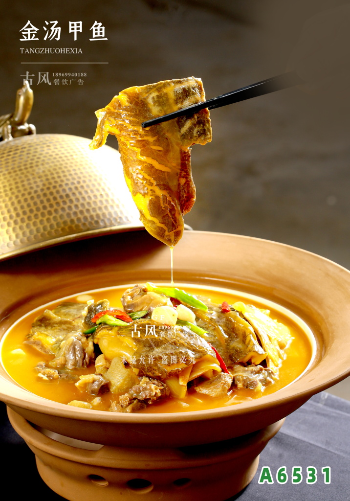 A6531金(jīn)湯甲魚