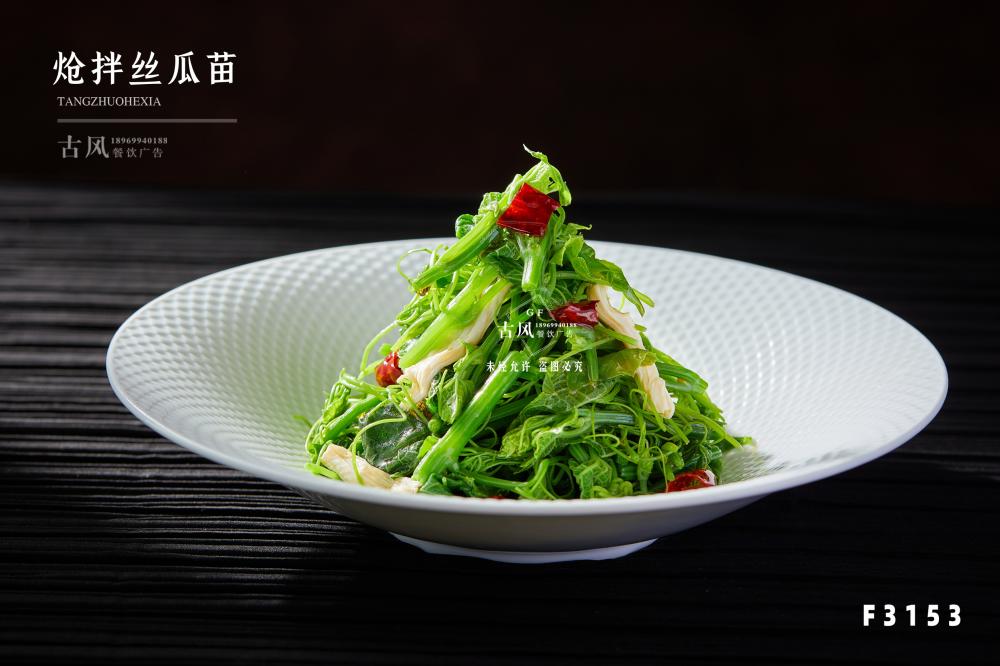 F3153炝拌絲瓜苗