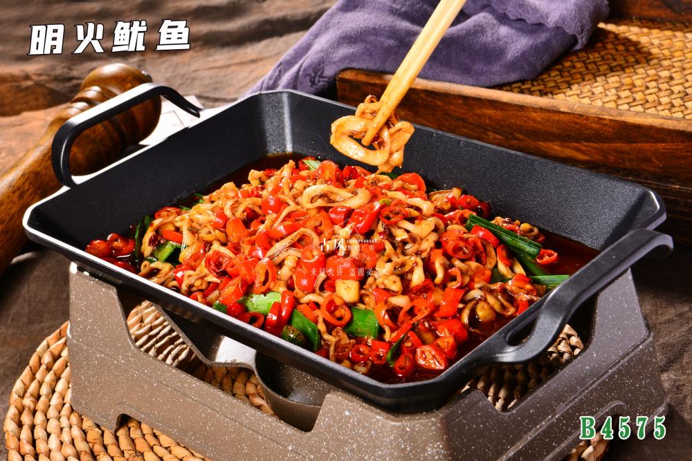 B4575明(míng)火(huǒ)鱿魚
