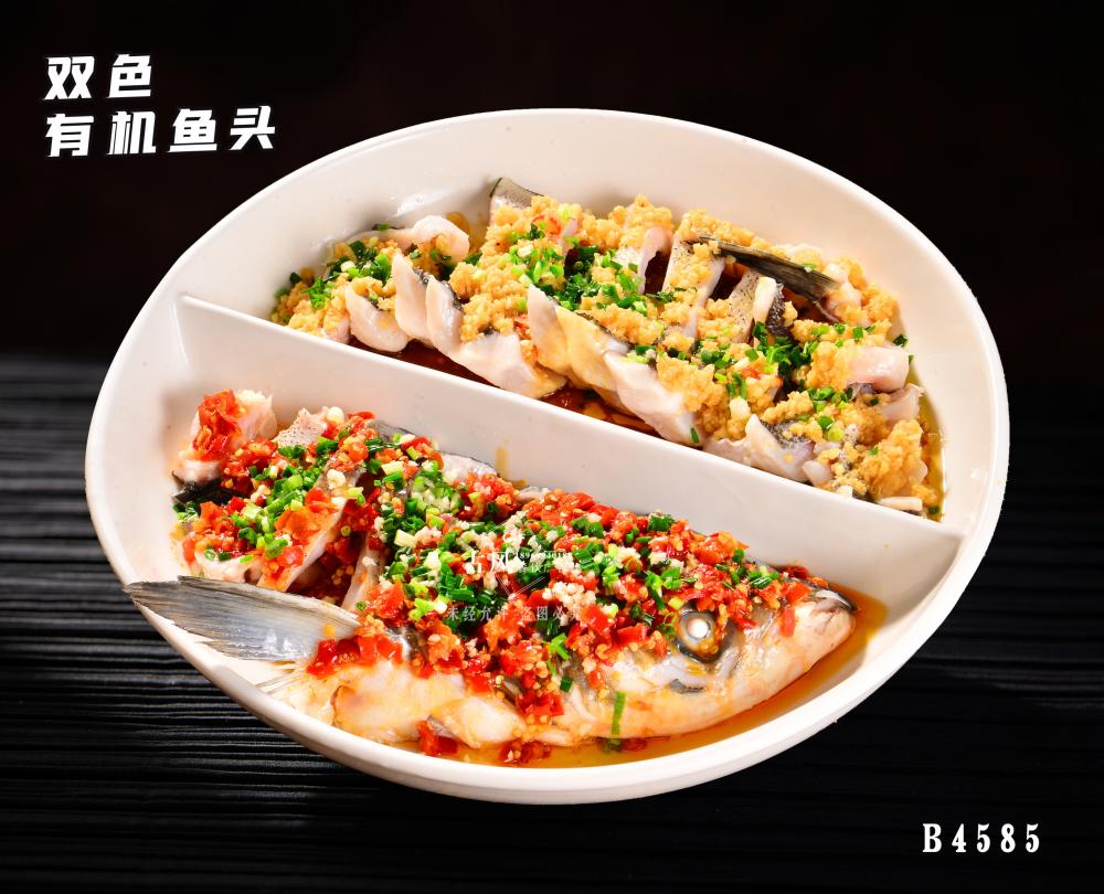 B4585雙色有(yǒu)機(jī)魚頭