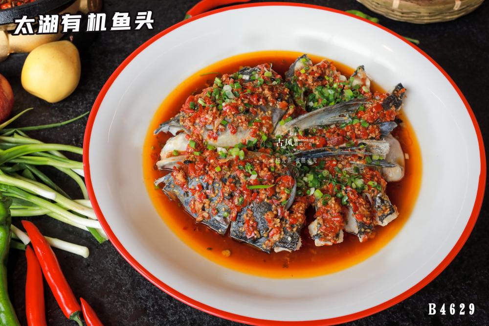 B4629太湖(hú)有(yǒu)機(jī)魚頭