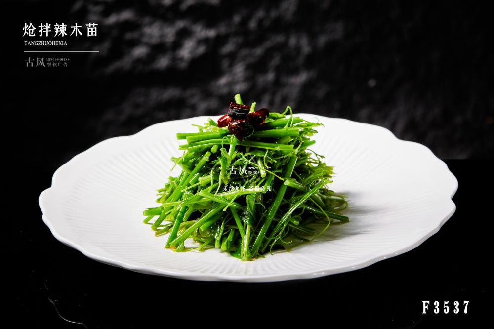 F3537炝拌辣木(mù)苗