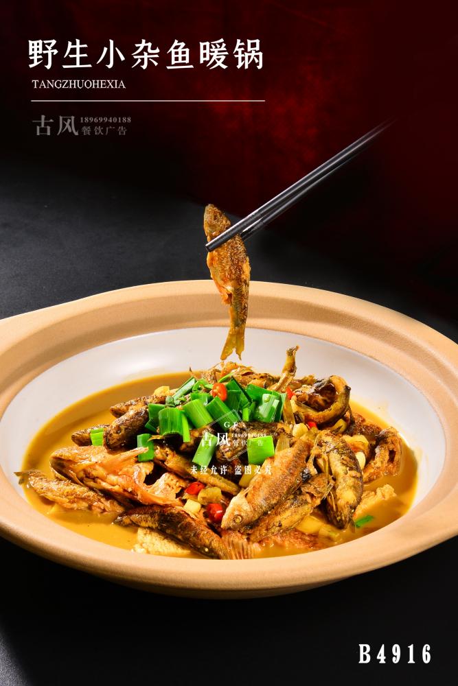 B4916野生(shēng)小(xiǎo)雜(zá)魚暖鍋